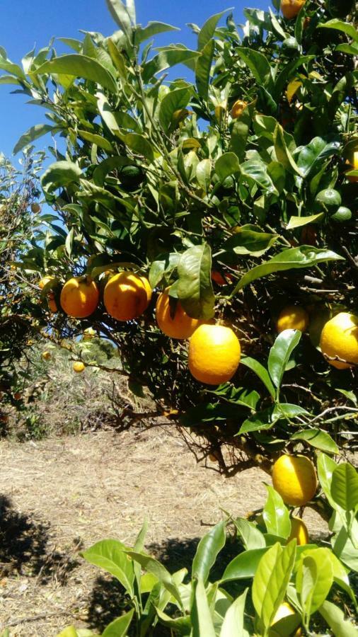 El Limonero Garafía Exterior foto